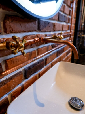 image of Industrial and Bathroom 